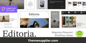 magazine wordpress theme