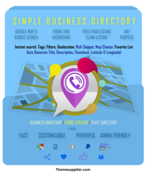 best simple business director pro plugin