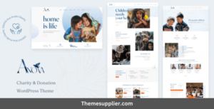 Donations WordPress Theme